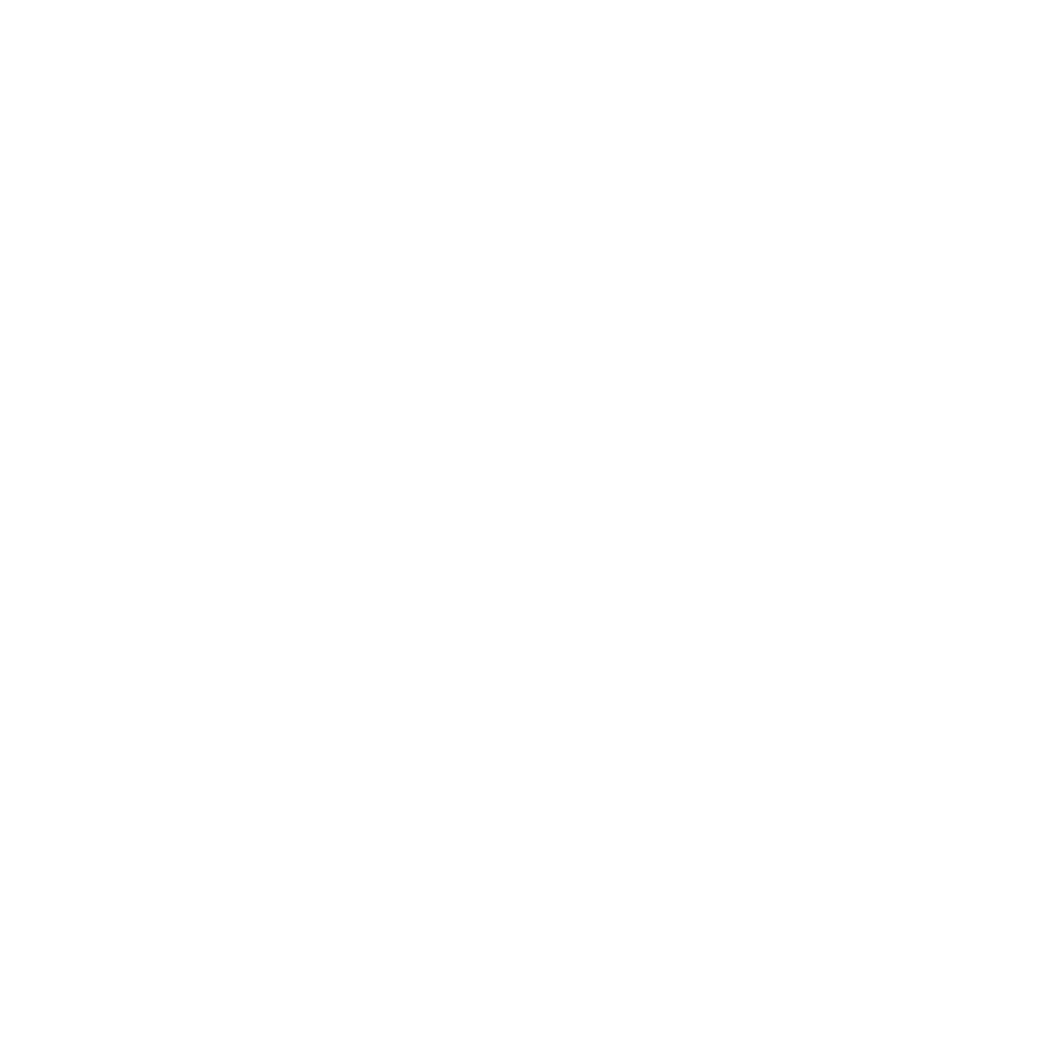 Logo for Niina